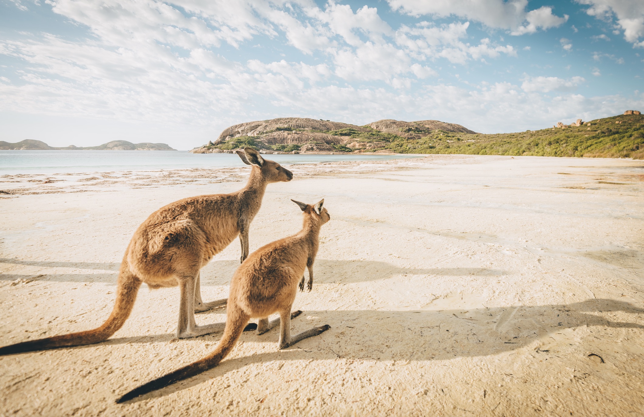 Highlights of Australia and New Zealand