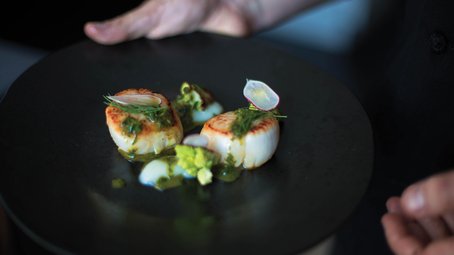 Recipe: How to Grill Scallops with Sunchoke Puree with Chef Nate Romo