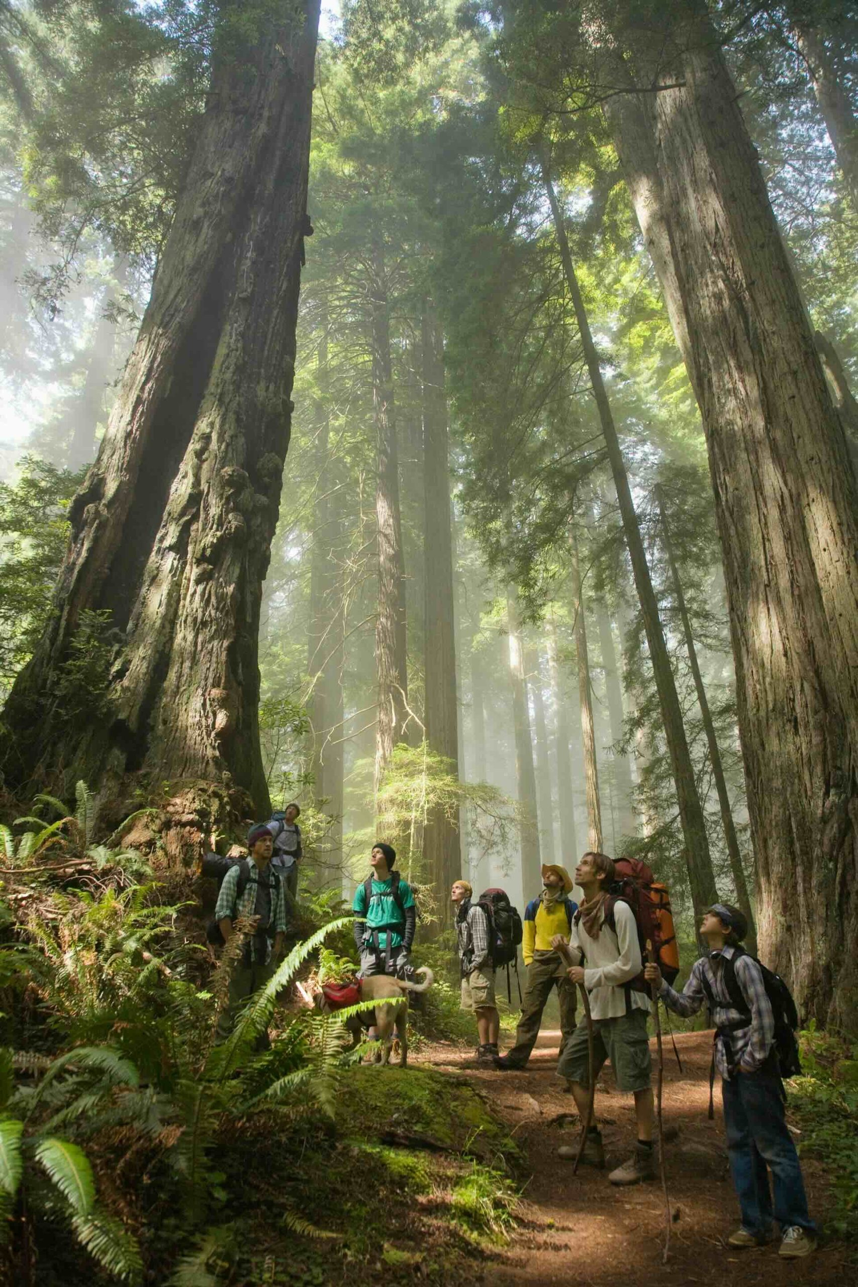 Sequoia National Park, California, USA