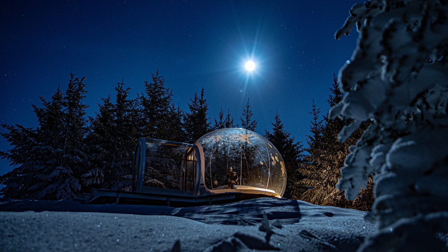 The 5 Million Star Hotel: Sleep in a Bubble Under the Northern Lights ...