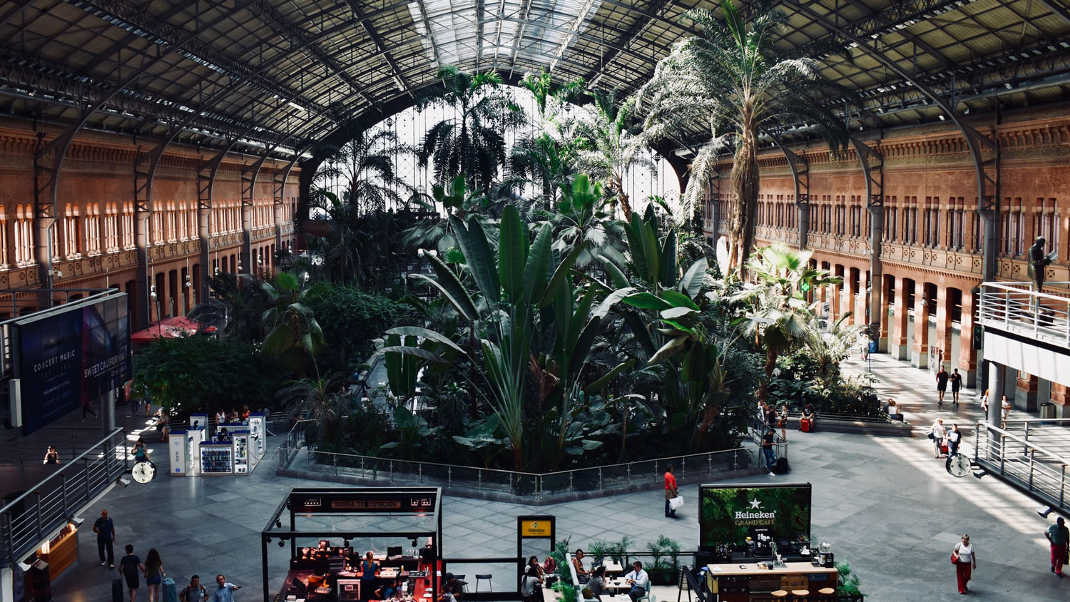 Botanical Garden, Estación Atocha – Madrid. Photo by Mindaugas Petrutis @mindaugas