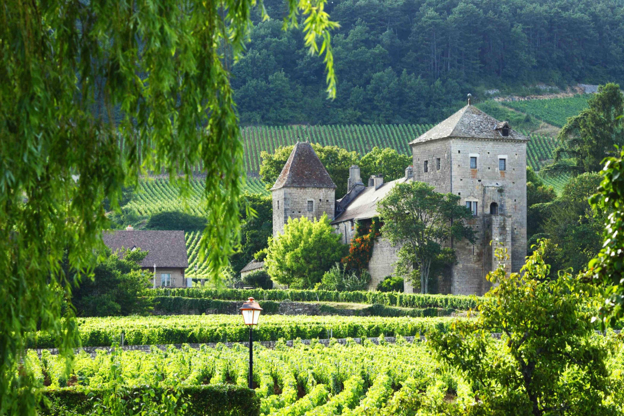 1. Burgundy, France<br />
