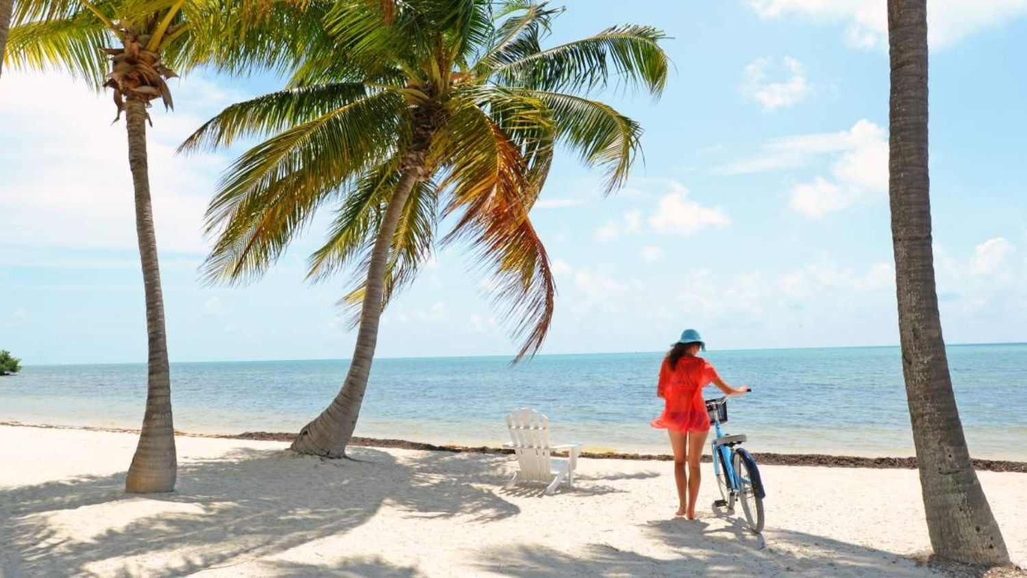 The Perfect Florida Keys Family Trip Bold Traveller
