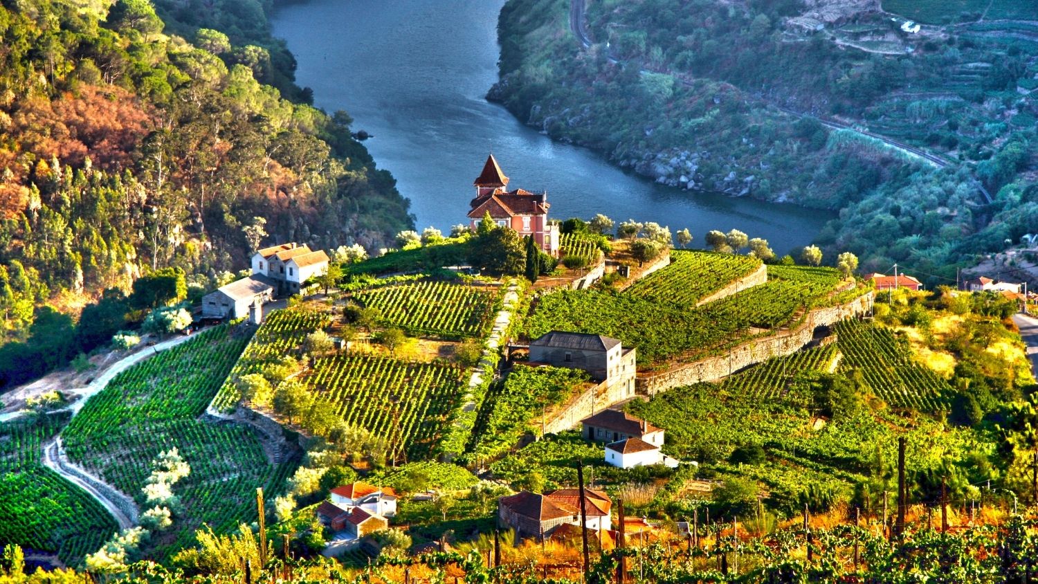 Landscape in Douro Valley, Portugal