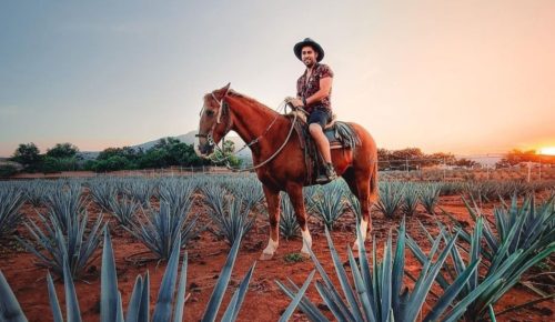Discovering the Art of Tequila in Guadalajara, Mexico