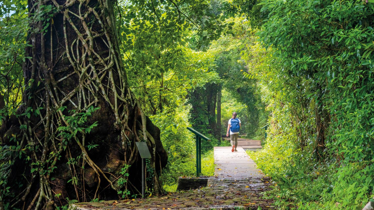 Outdoor Hiking in Hong Kong