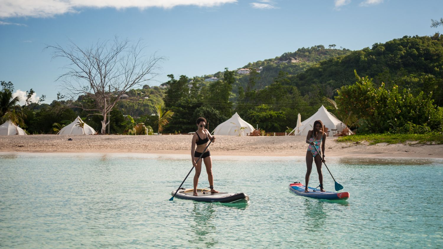 Paddle Boarding Wid Lotus