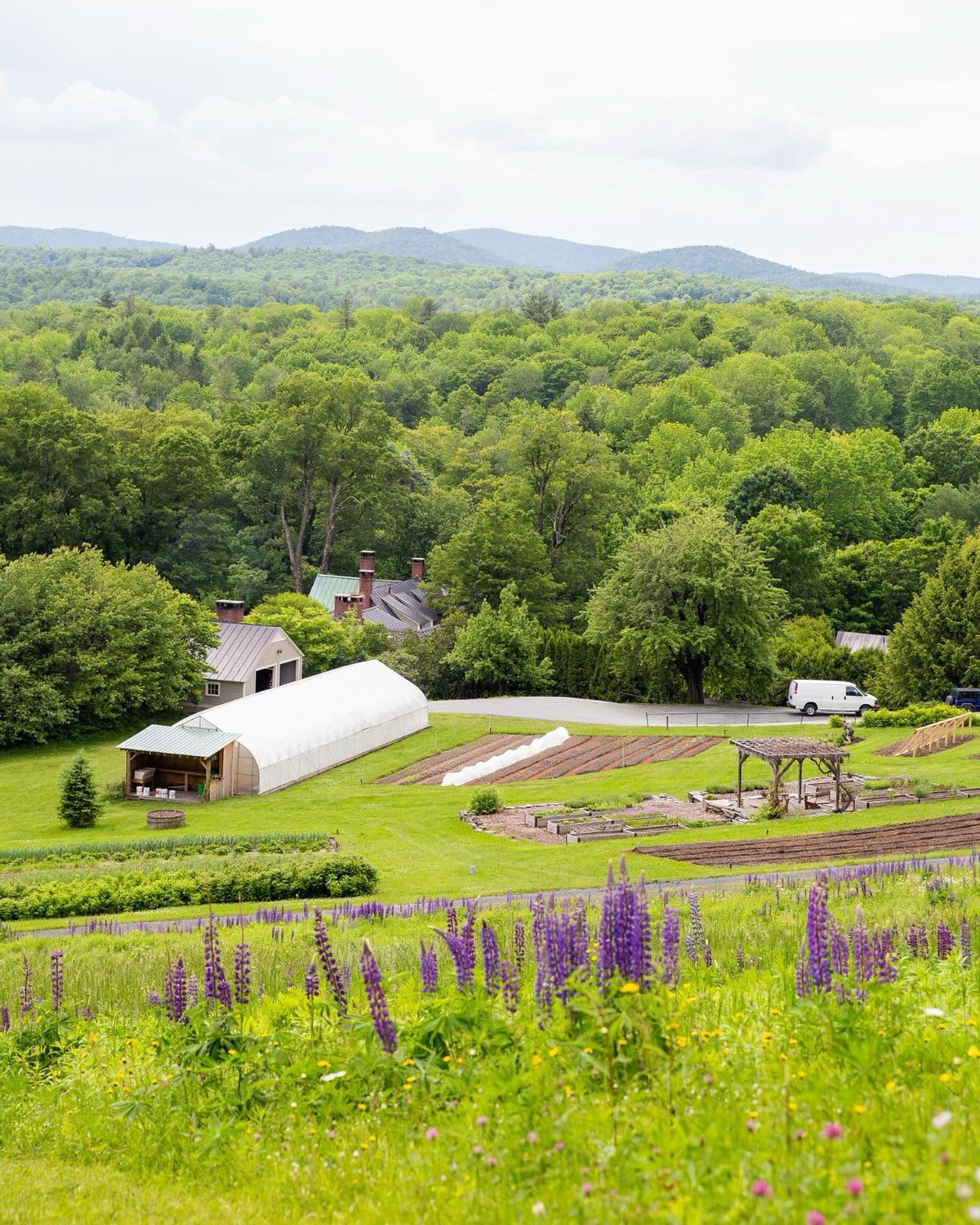 Twin Farm