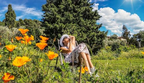 Why Grasse Is Known as the Perfume Capital of the World