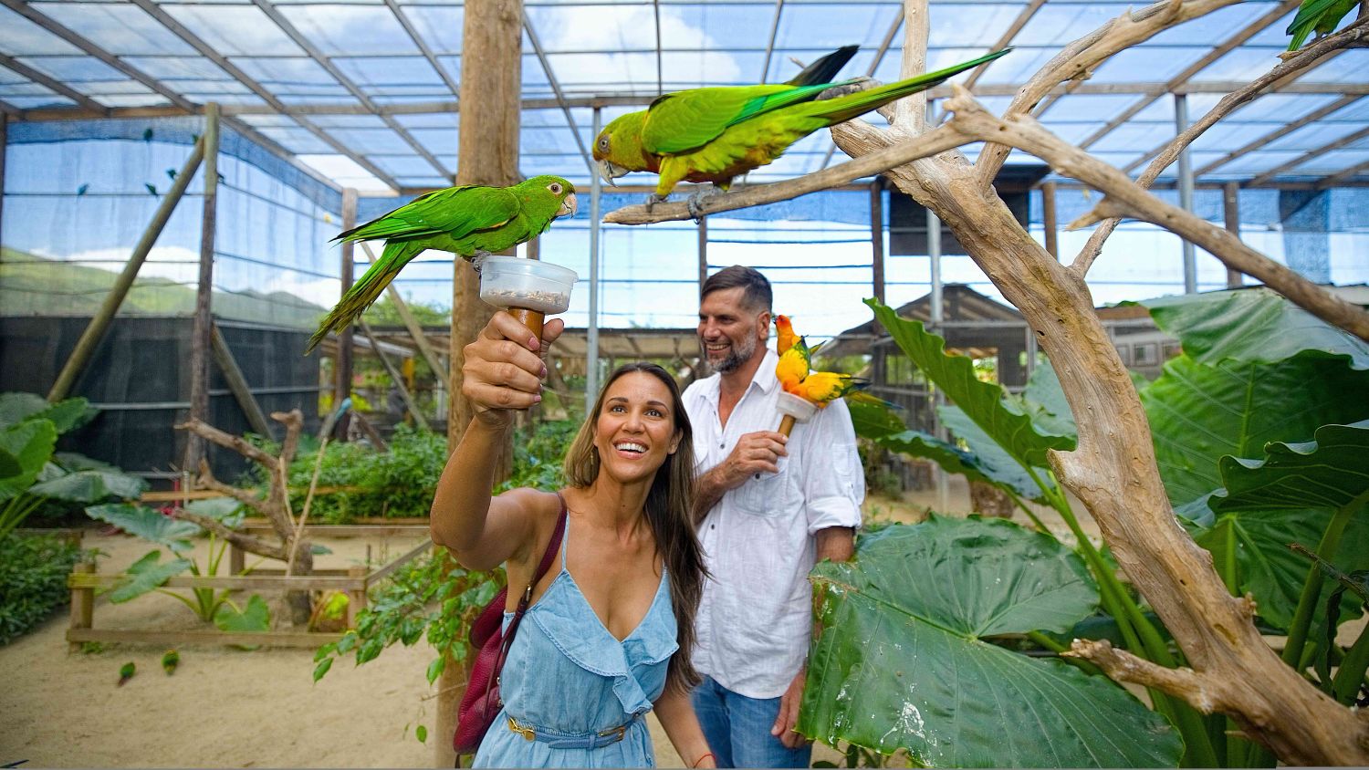 Parrote Ville Bird Sanctuary & Museum 