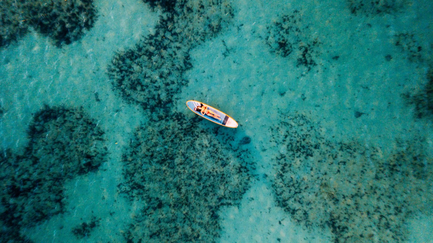 Five Fantastic Reasons Florida Should Be On Your Travel Bucket List for 2024