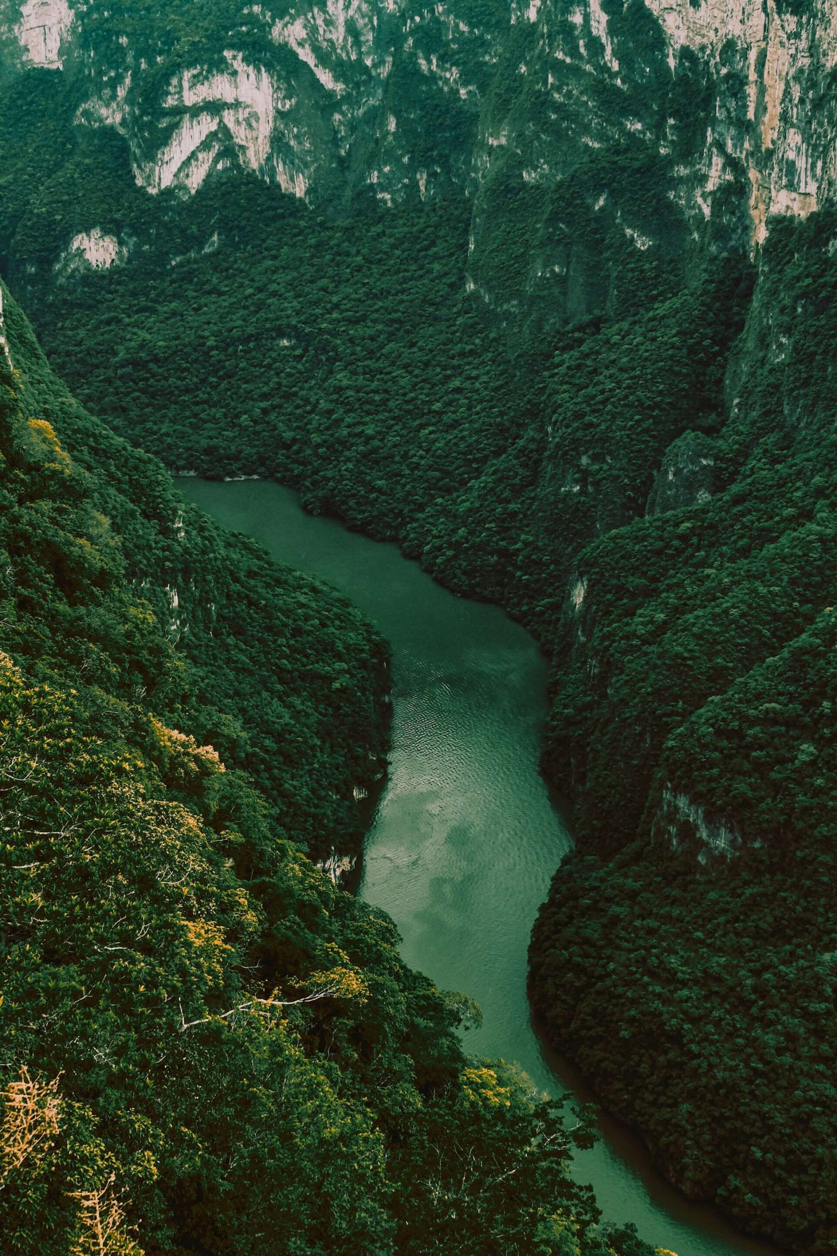 Top view of the Grijalva river going through the sumidero canyon