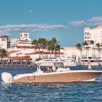 the palm beaches