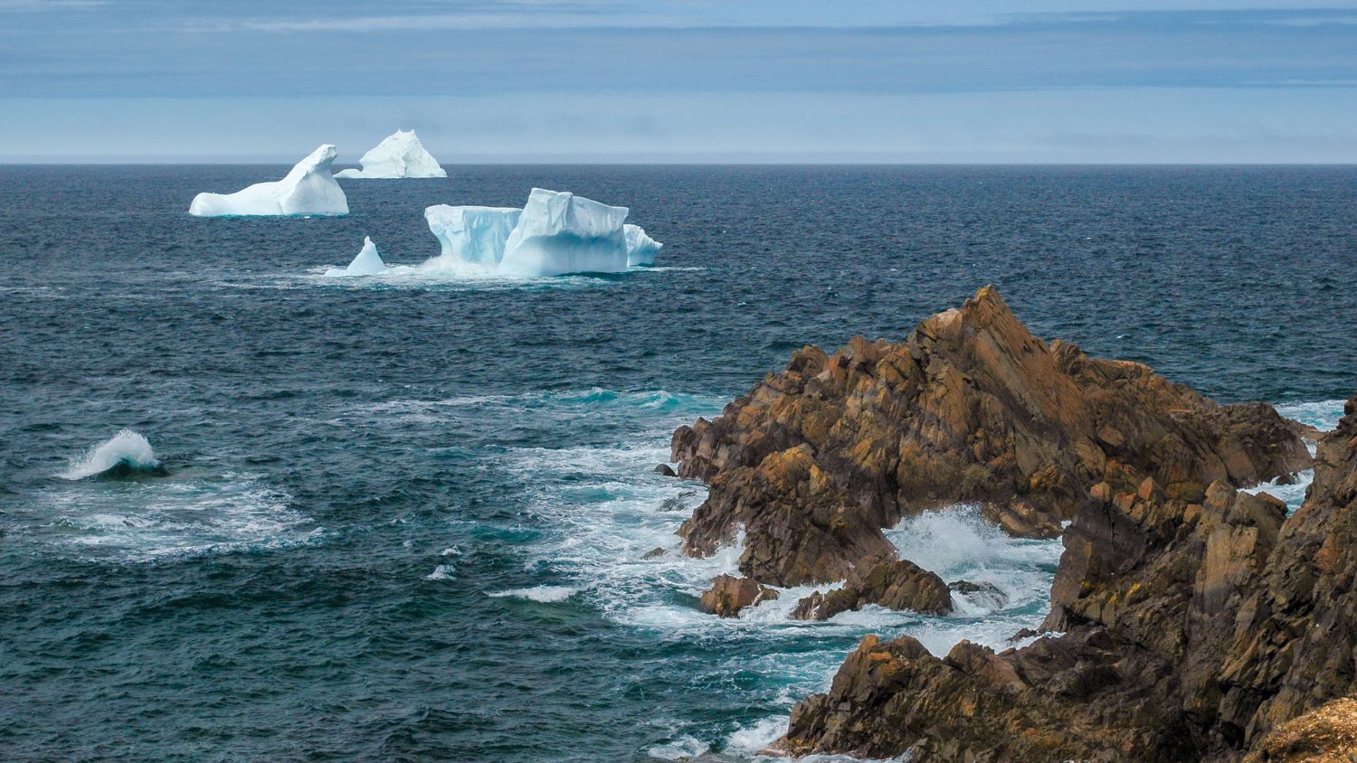 Towering aquamarine icebergs drift past the rugged coastlines of Iceberg Alley, Newfoundland and Labrador. Photo: