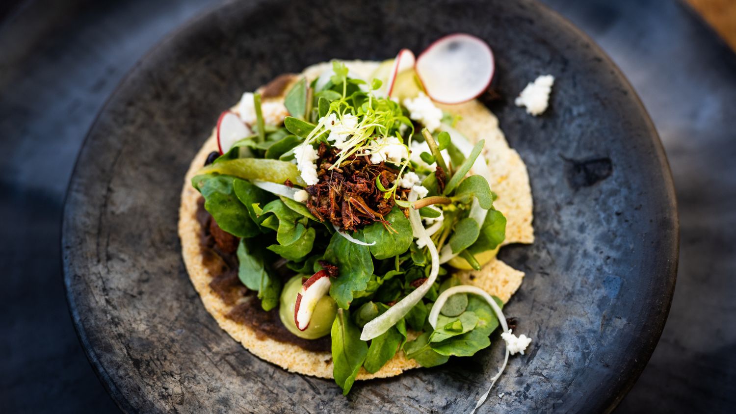 mole tostada topped with chapulines (grasshoppers) and quelites (greens) served on a black clay plate from Oaxaca