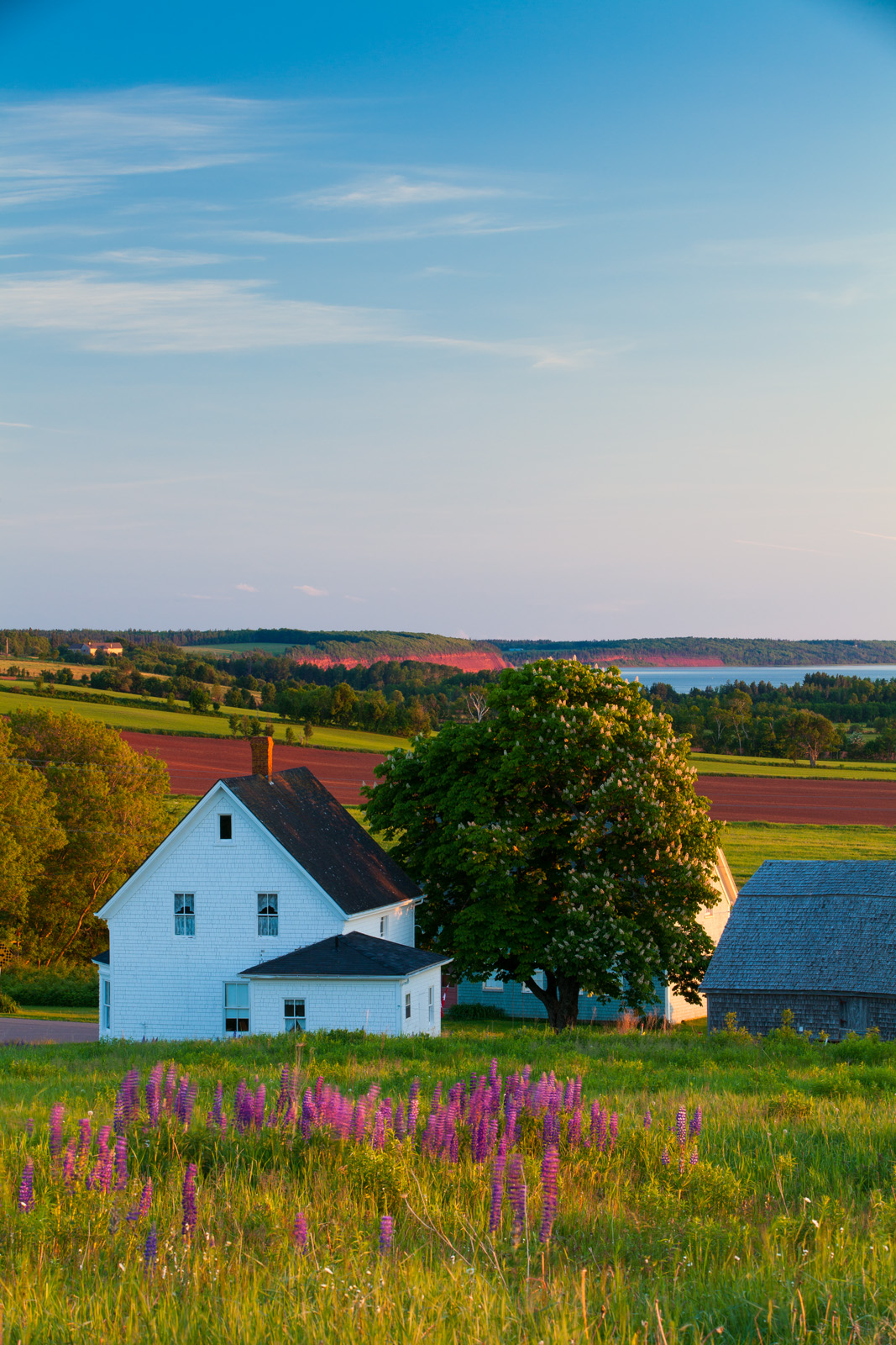 June evening in Orwell Cove, Prince Edward Island