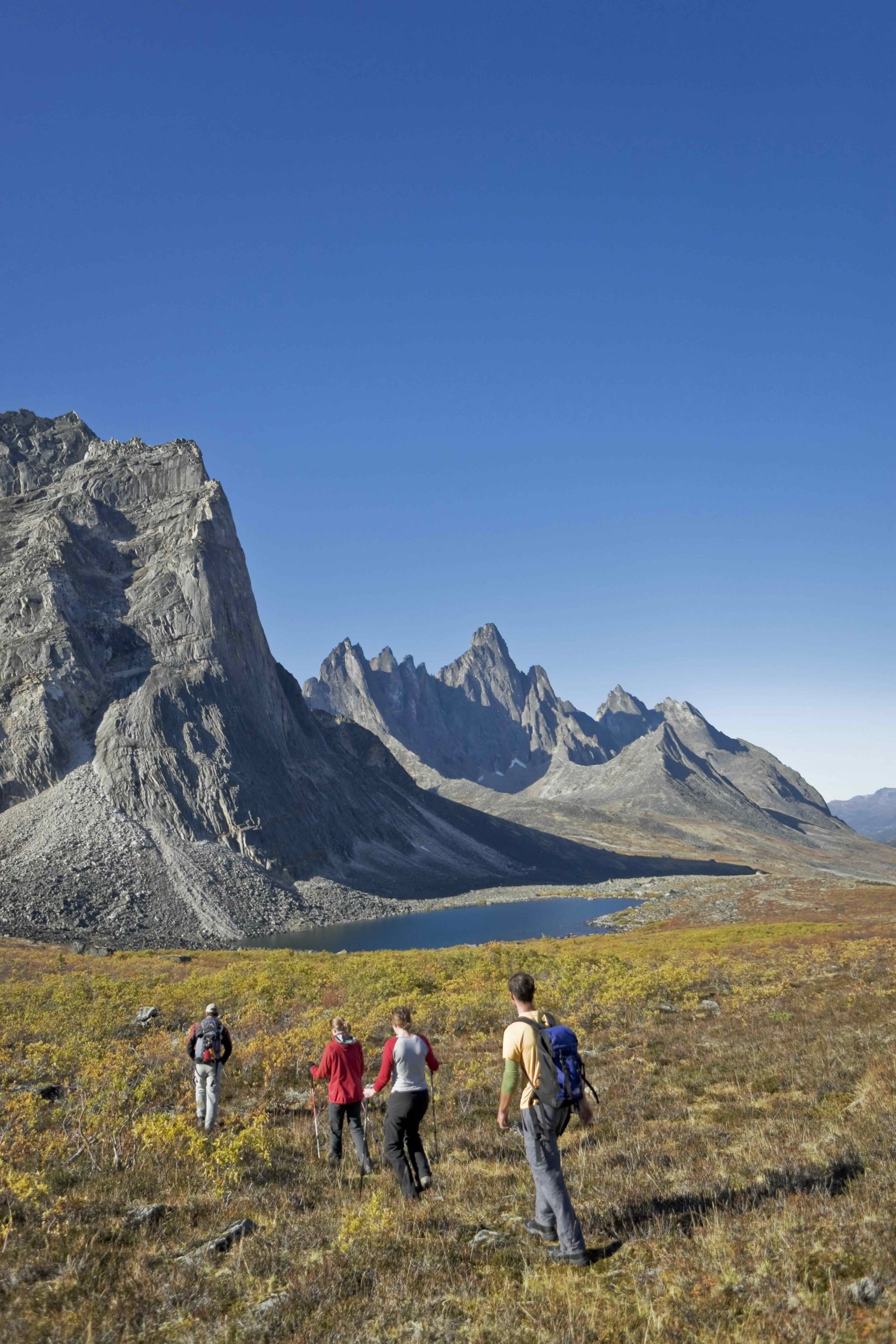 GOVERNMENT OF YUKON / F MUELLER (TOMBSTONE TERRITORIAL PARK)