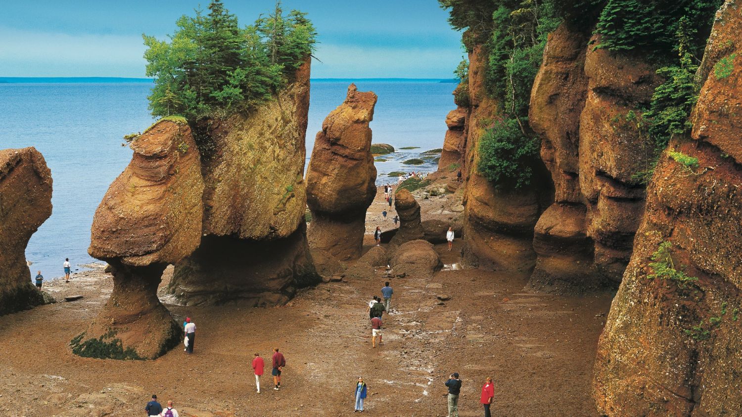 New Brunswick featuring rugged coastline and kayaking or canoeing