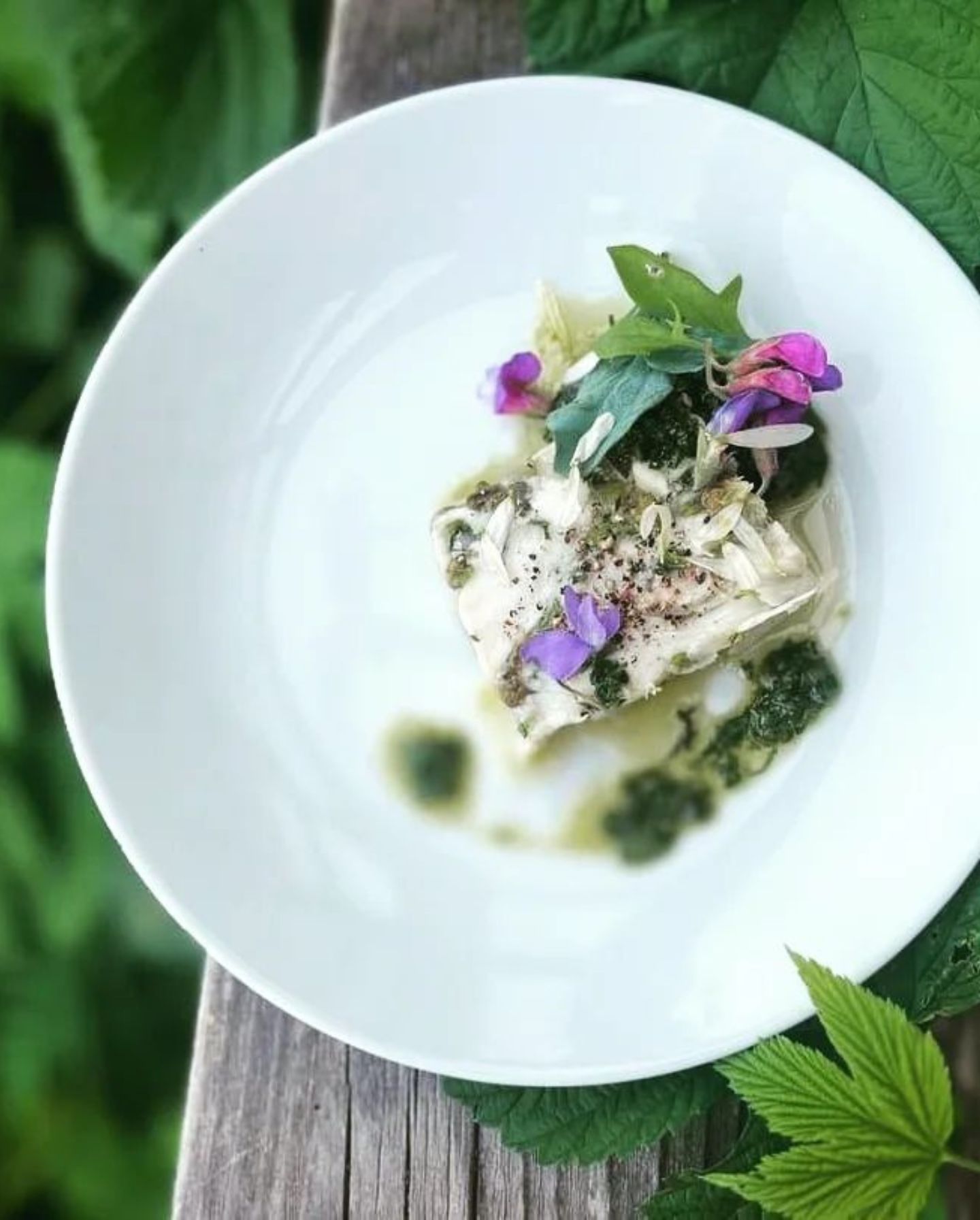 Halibut head cheese, Sweet Cicely, Scotch Lovage, Marsh Mint Salsa Verde, served with Wild Caraway Rye Crackers