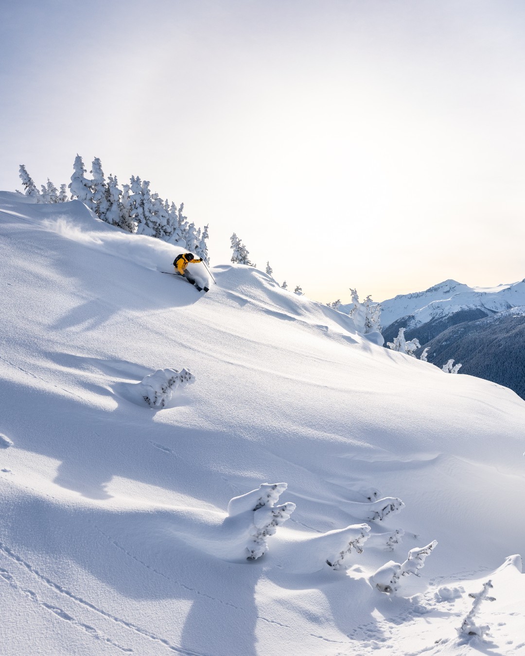 Whistler Blackcomb