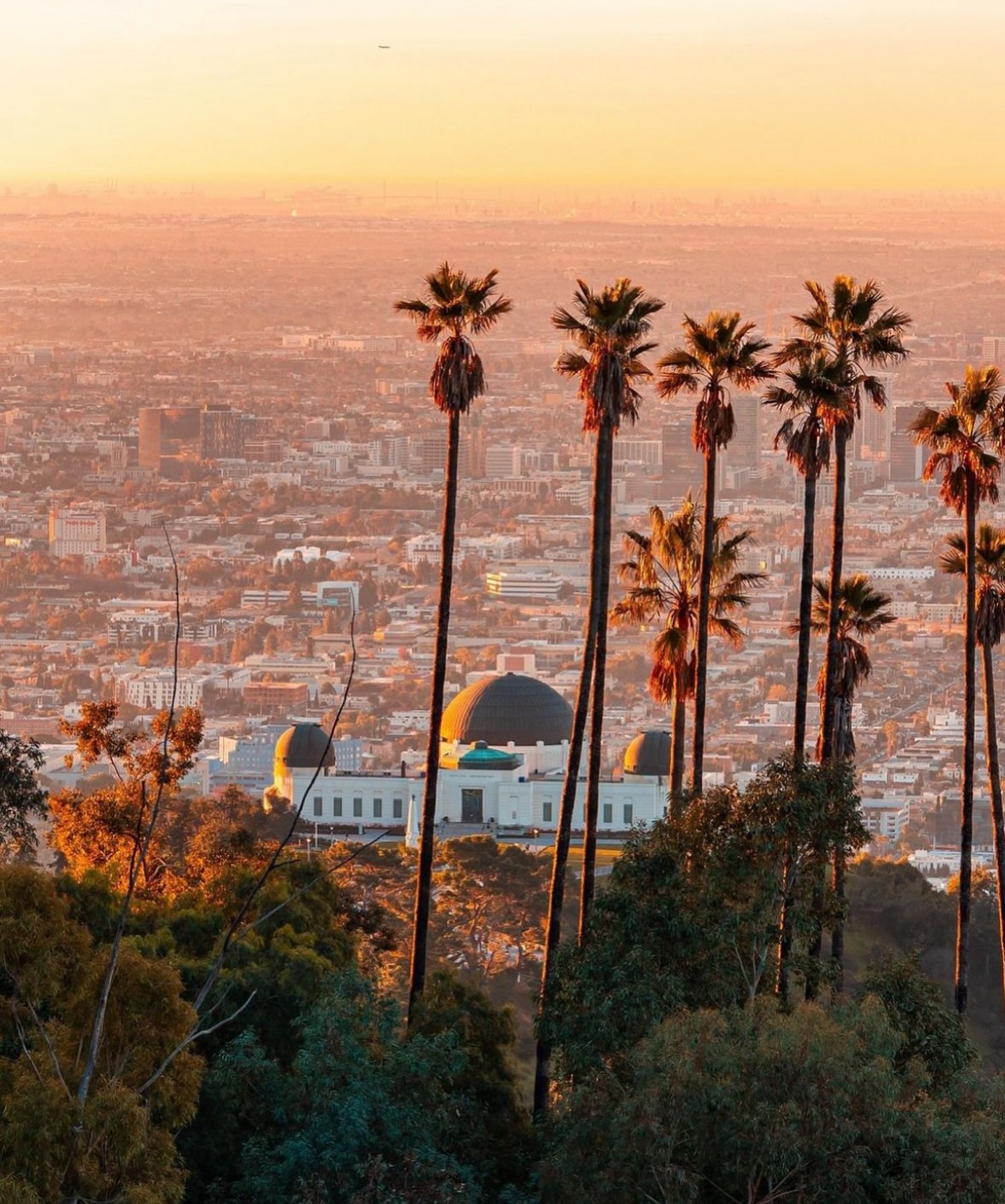 Los Angeles sunset