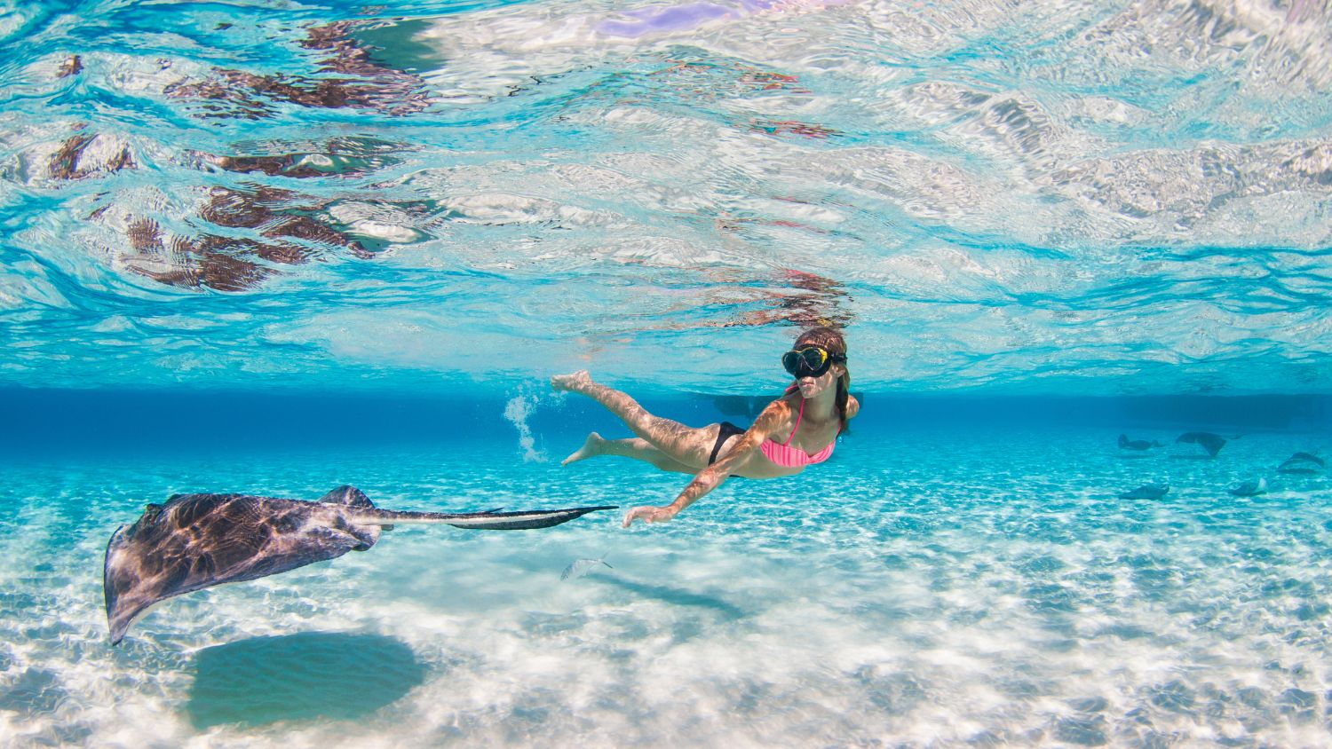 snorkeling in cayman island