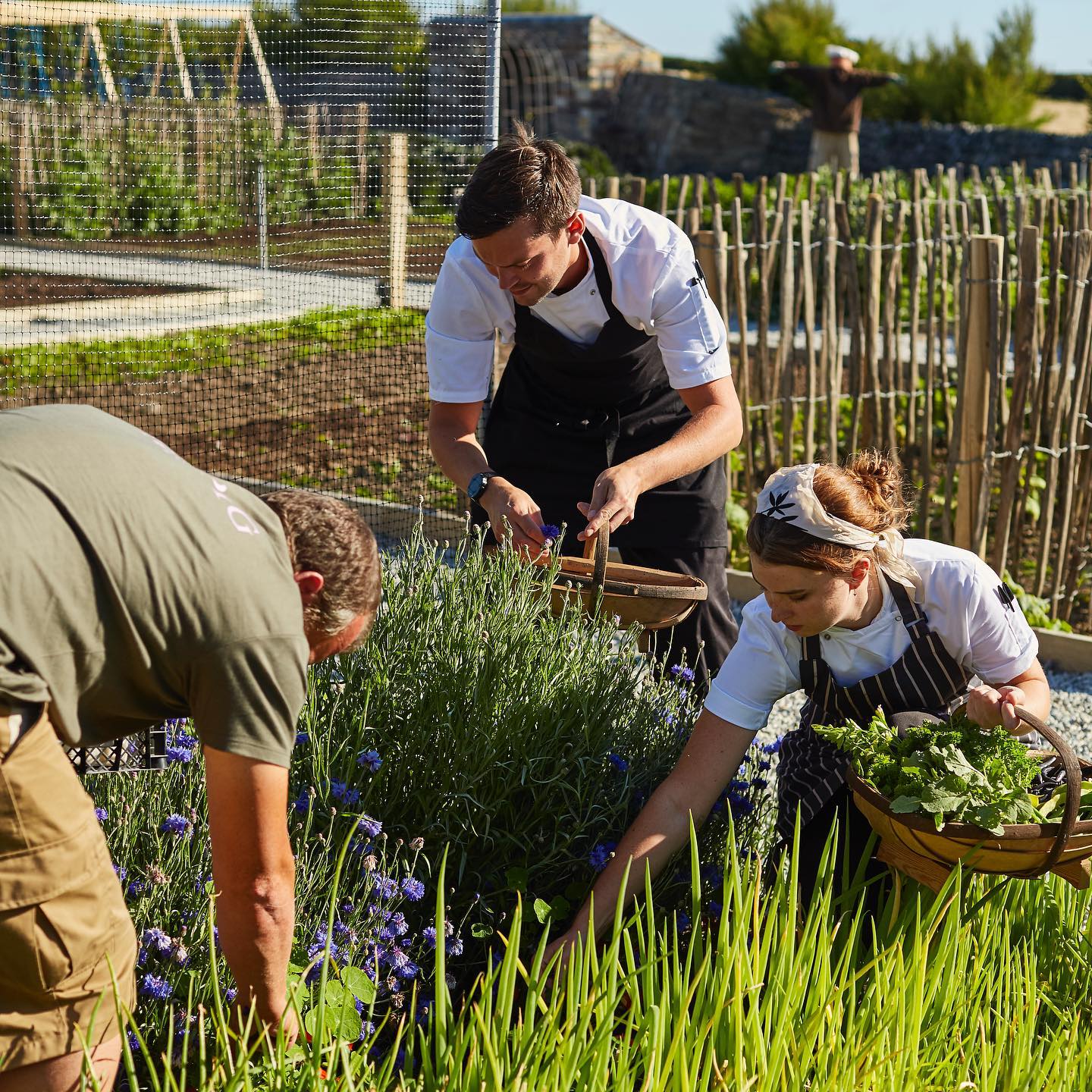 Our Head Chefs, and their brigades work hand in hand with the Kitchen Gardeners to create our 25-mile menu - daily garden pickings and produce from local farmers, small producers and fishermen who supply anything that we cannot grow, produce or catch ourselves