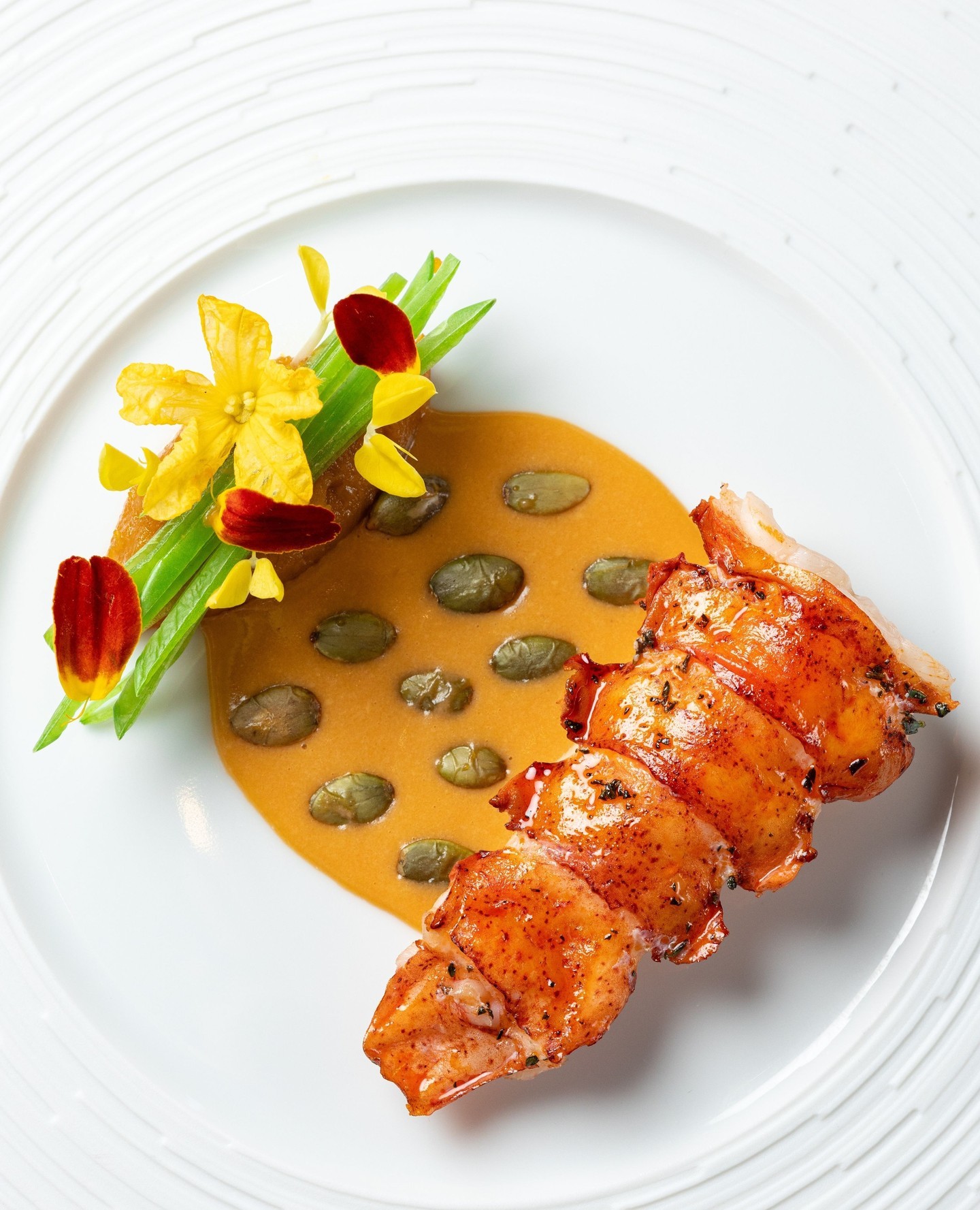 Astice, Zucca e Amaretto—P.E.I. lobster complemented by Hokkaido squash in scapece style, balsamic-accented taccole, and a silky amaretto bisque.