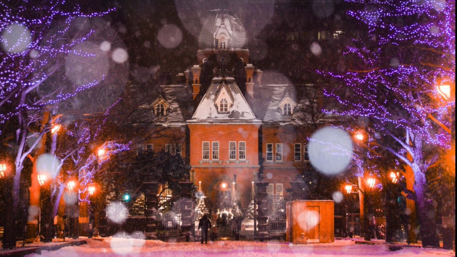 The iconic Former Hokkaido Government Office, or Akarenga, shines as a winter highlight during the Sapporo Snow Festival, beautifully illuminated to create a magical evening atmosphere.