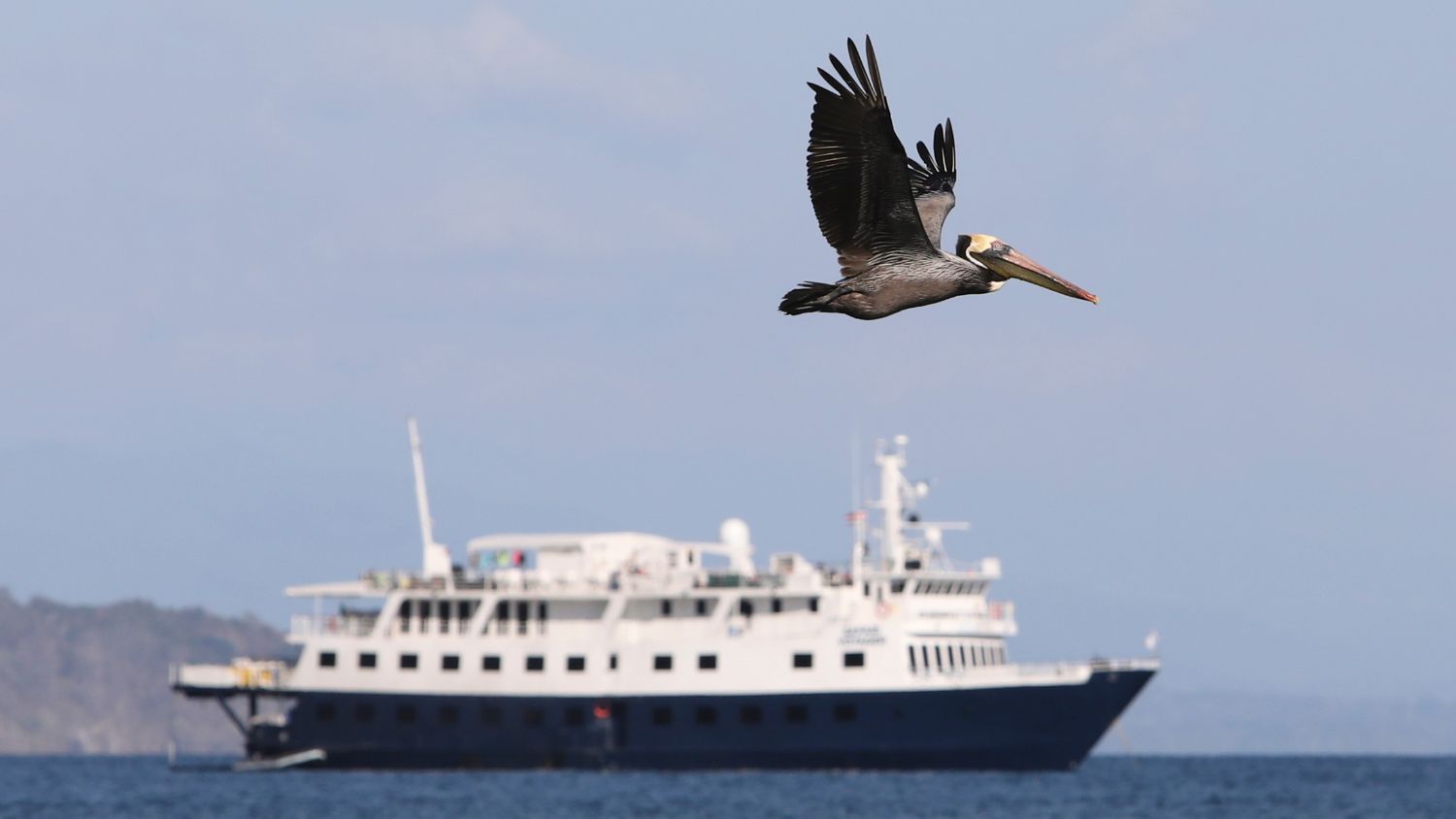 uncruise sea of cortez experience