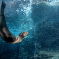 Photo: Getty Images For Unsplash+