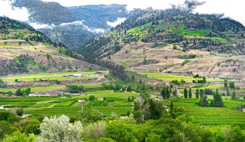 Where to Eat, Drink & Stay in Okanagan Valley, BC — A Wine & Foodie Guide