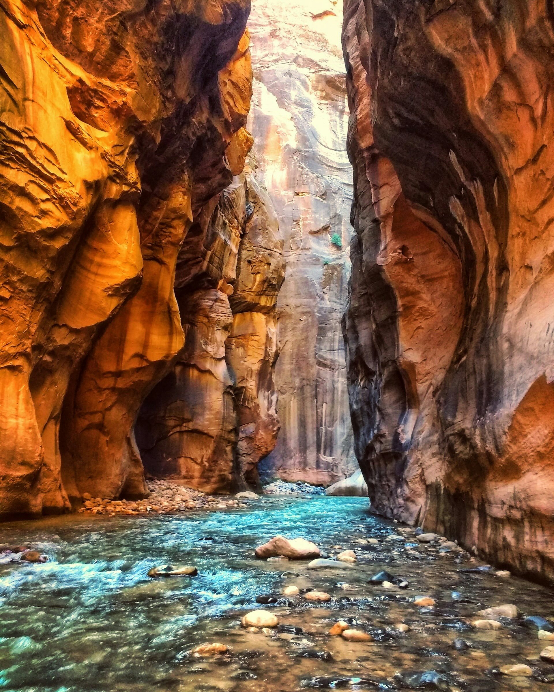 The Narrows Zion National Park
