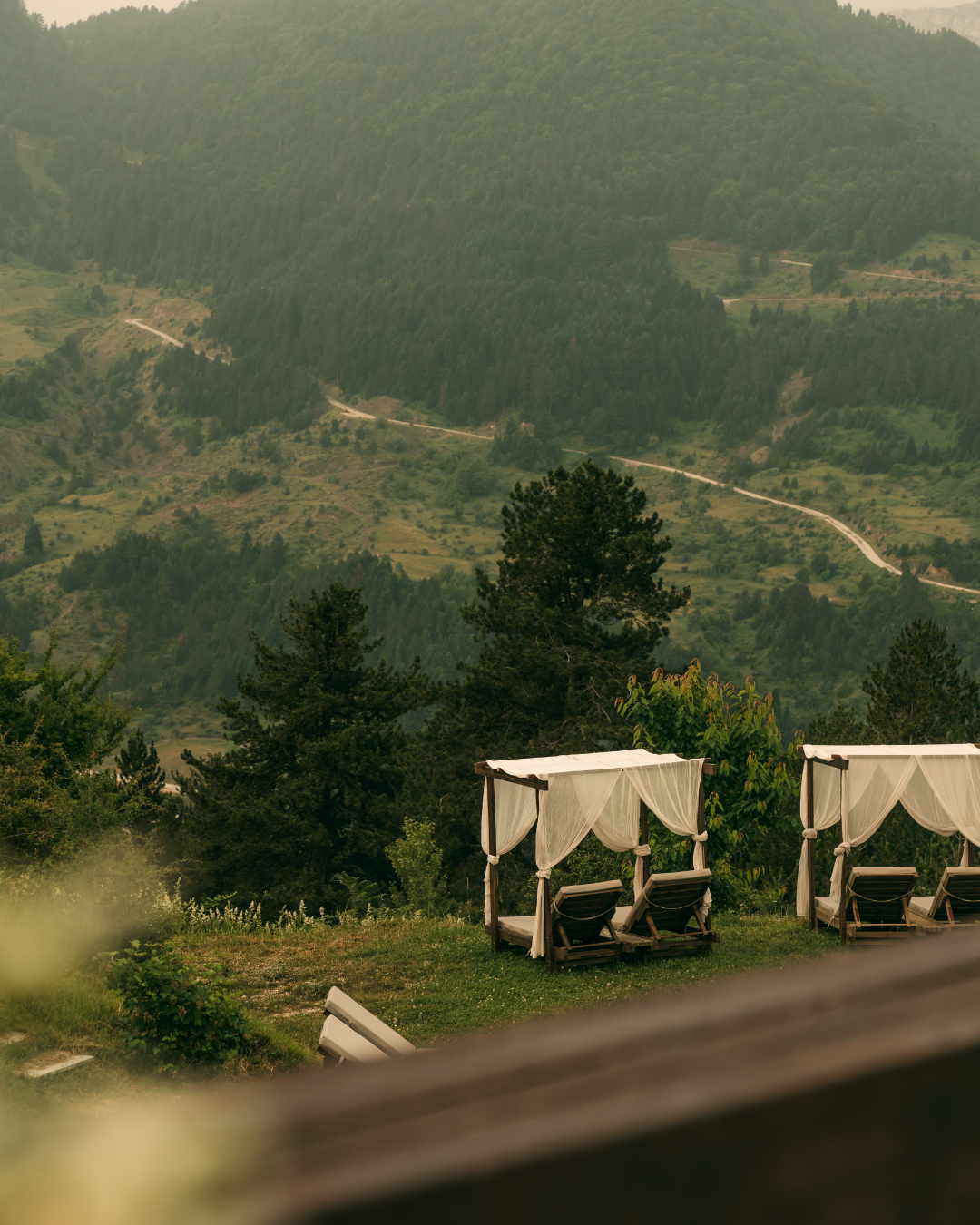 Grand Forest Metsovo, Greece