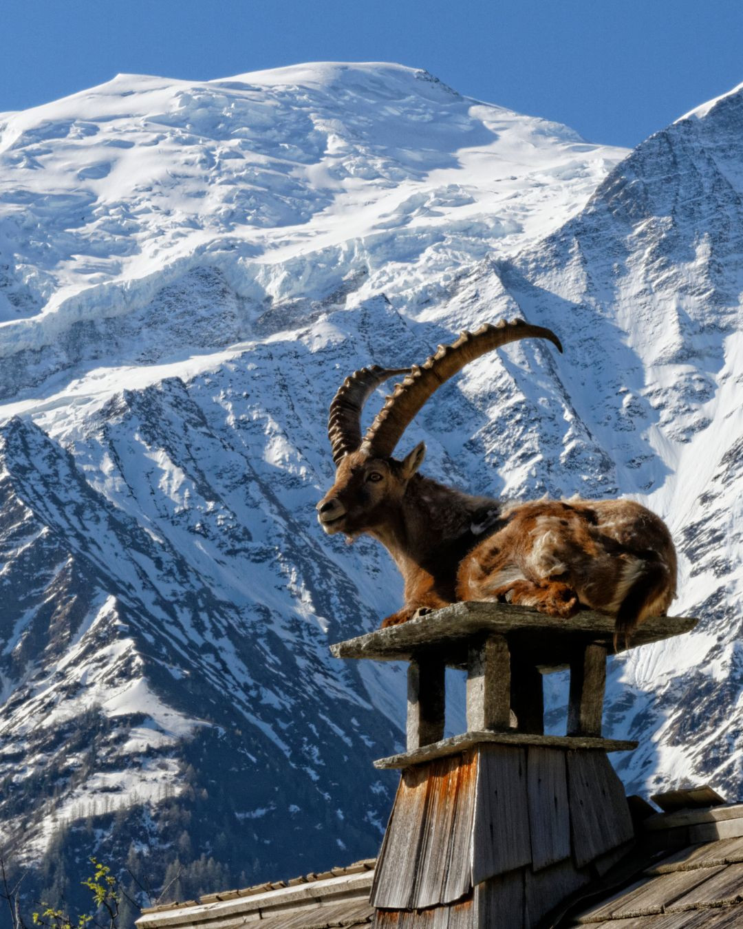 SEVERIN*S THE ALPINE RETREA