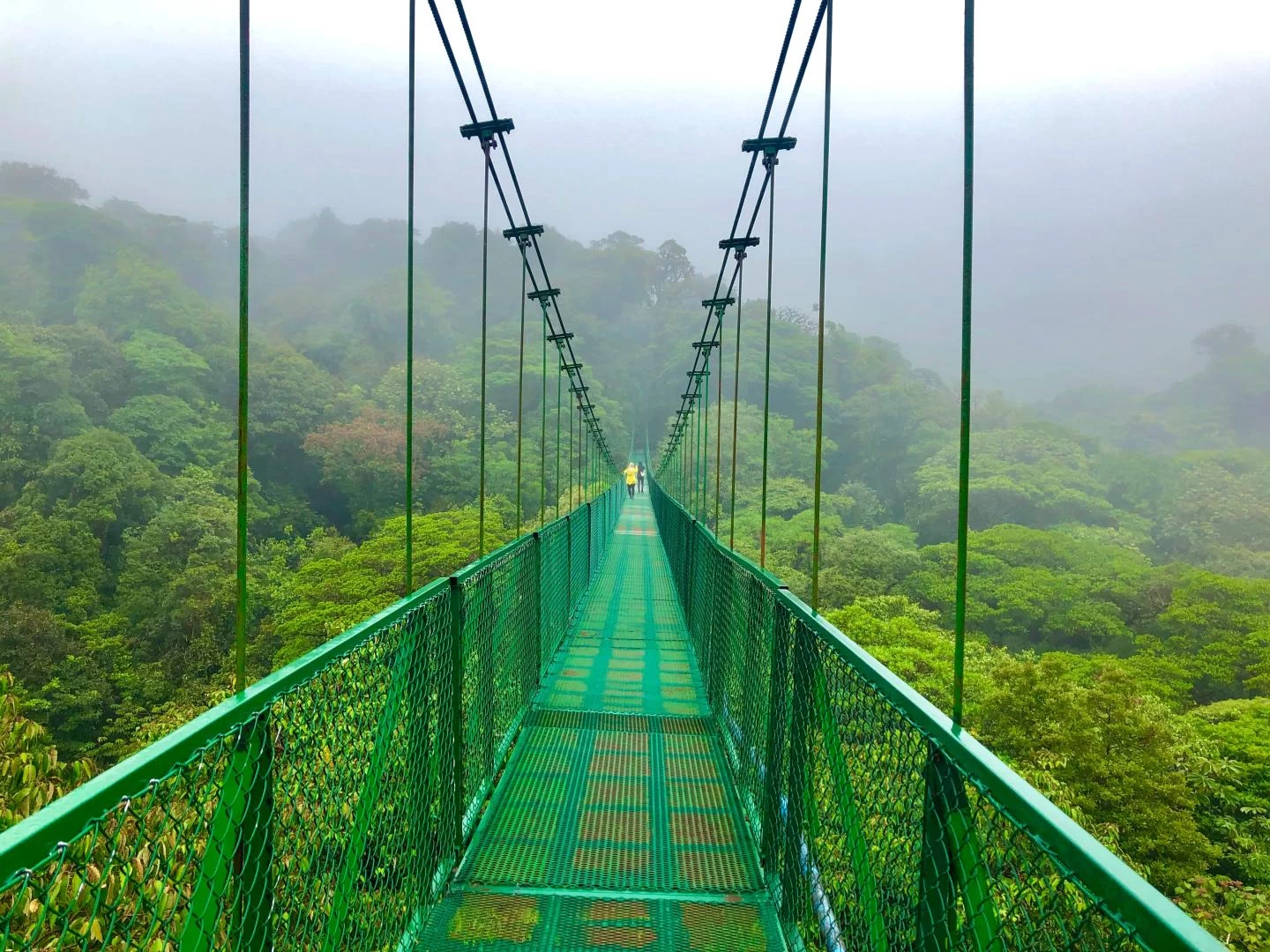 Monteverde Cloud Forest Bridge Walk - Costa Rica