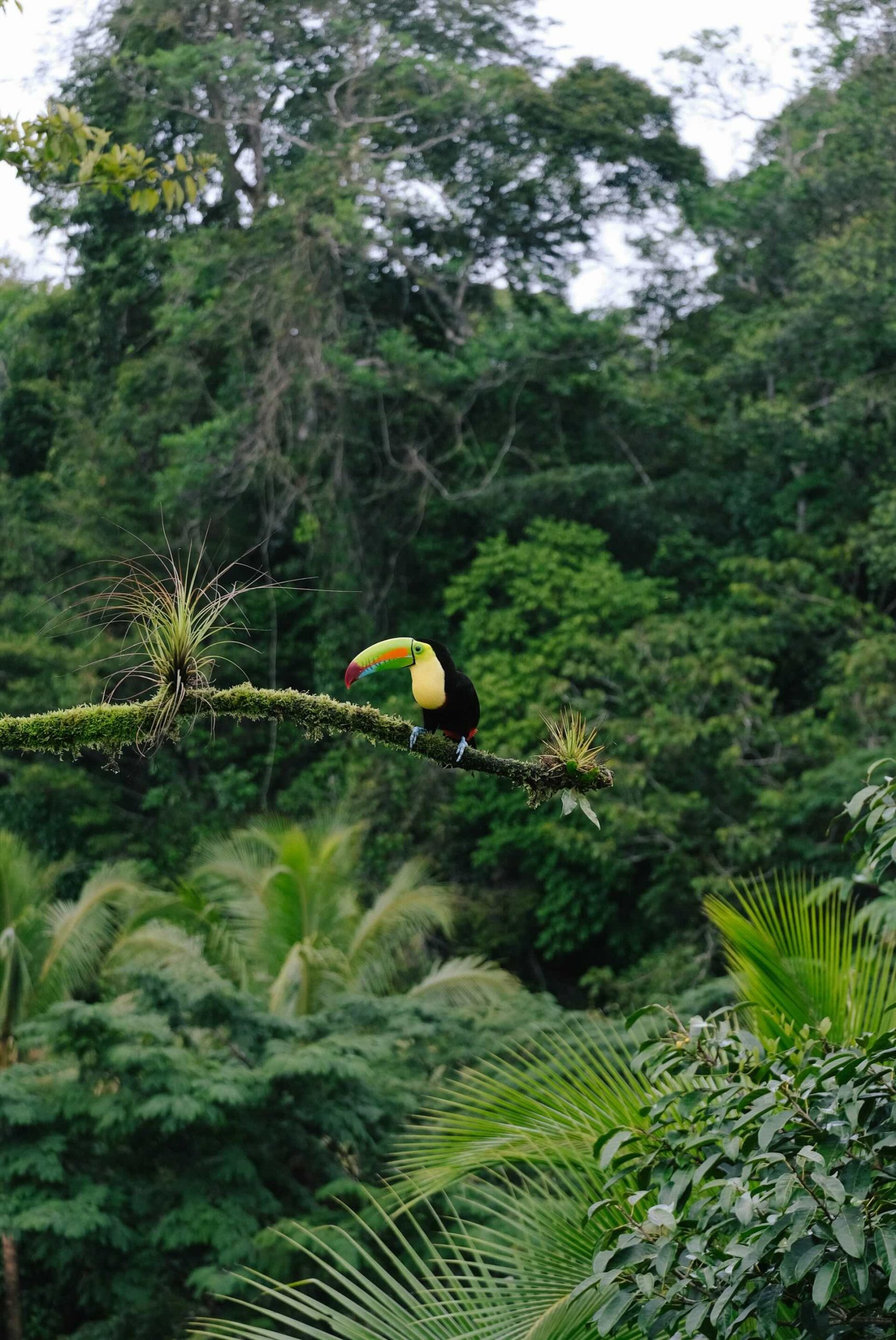 Costa Rica