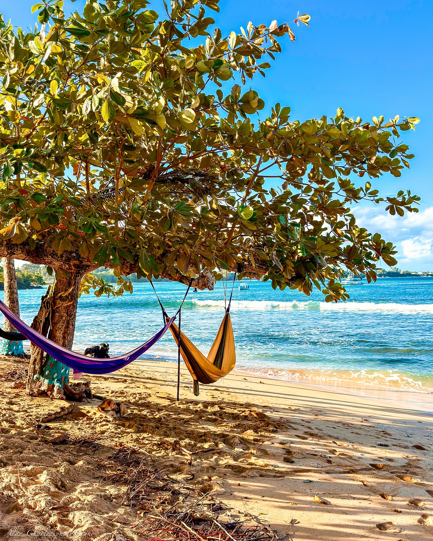 Trinidad & Tobago, the southernmost Caribbean islands, are known for vibrant markets, awe-inspiring street murals, lively Carnival, and stunning natural beauty.