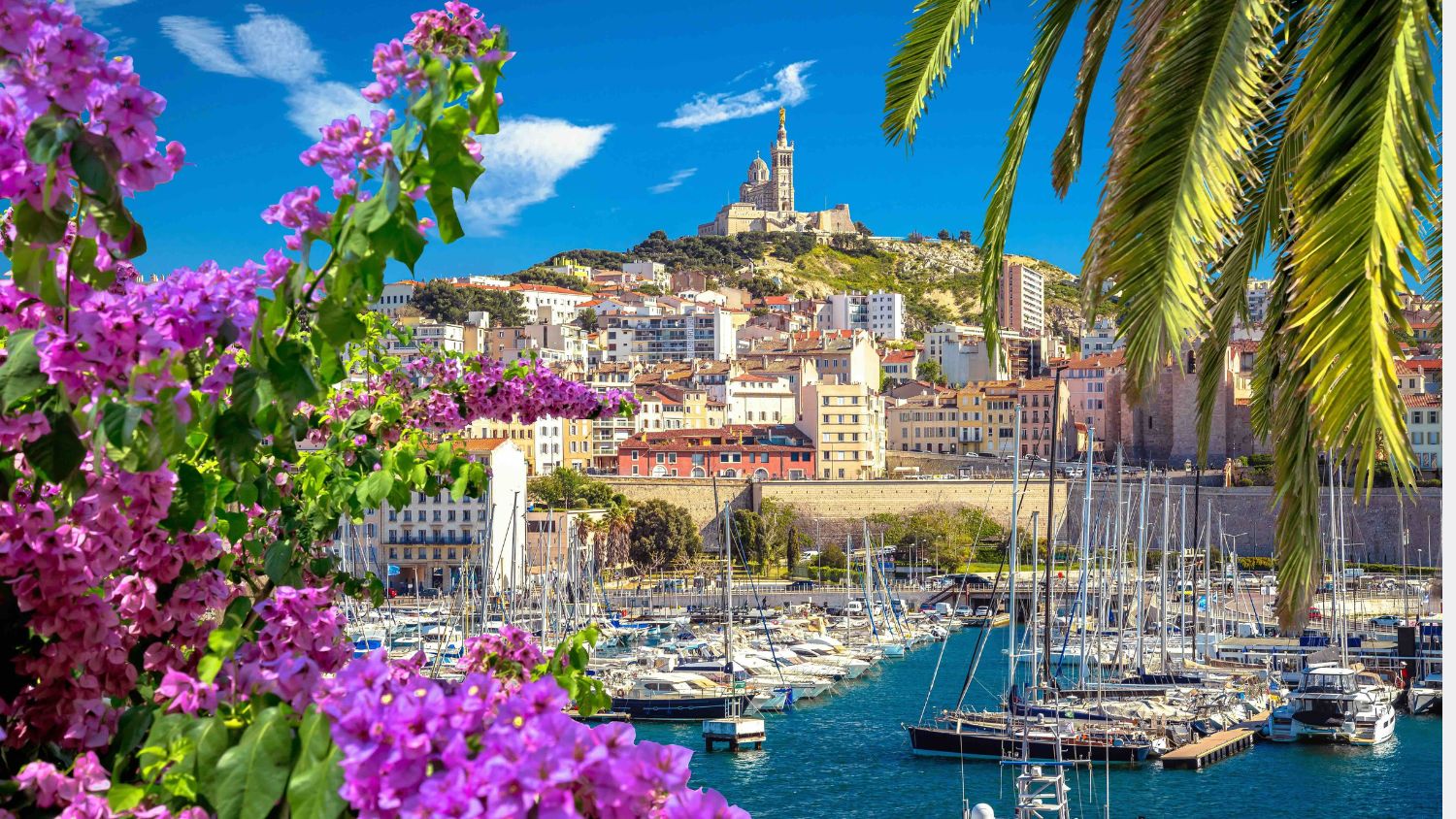 View of Marseille harbor with boats, palm trees, and the Basilica of Notre Dame de la Garde on the hilltop