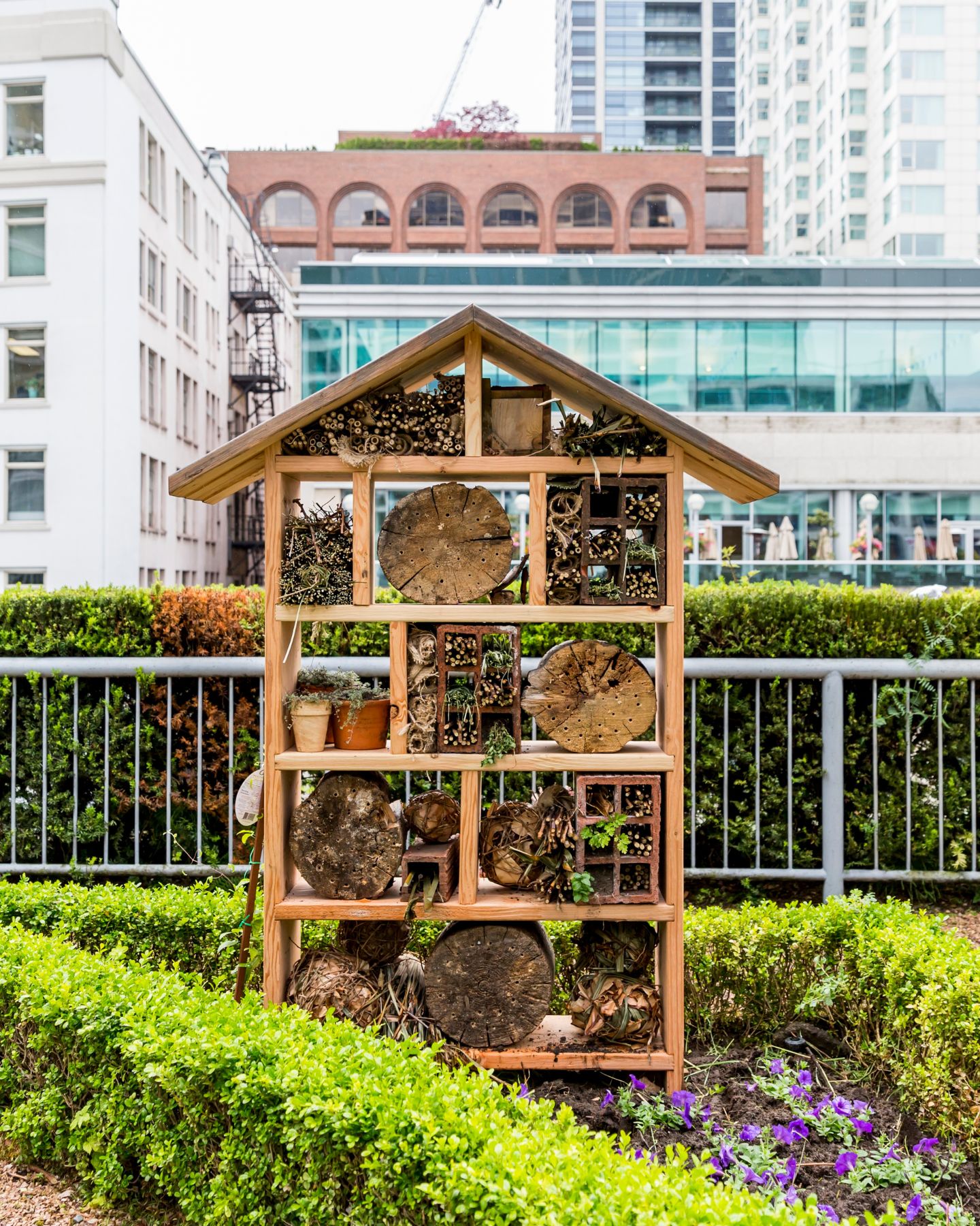 Fairmont Waterfront Apiary