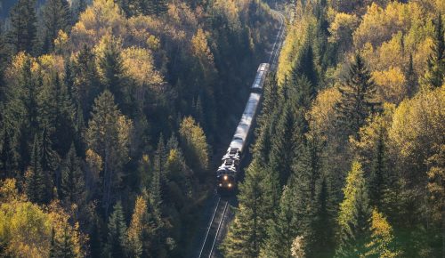Journey Through the Clouds: Canada’s Rocky Mountains by Train