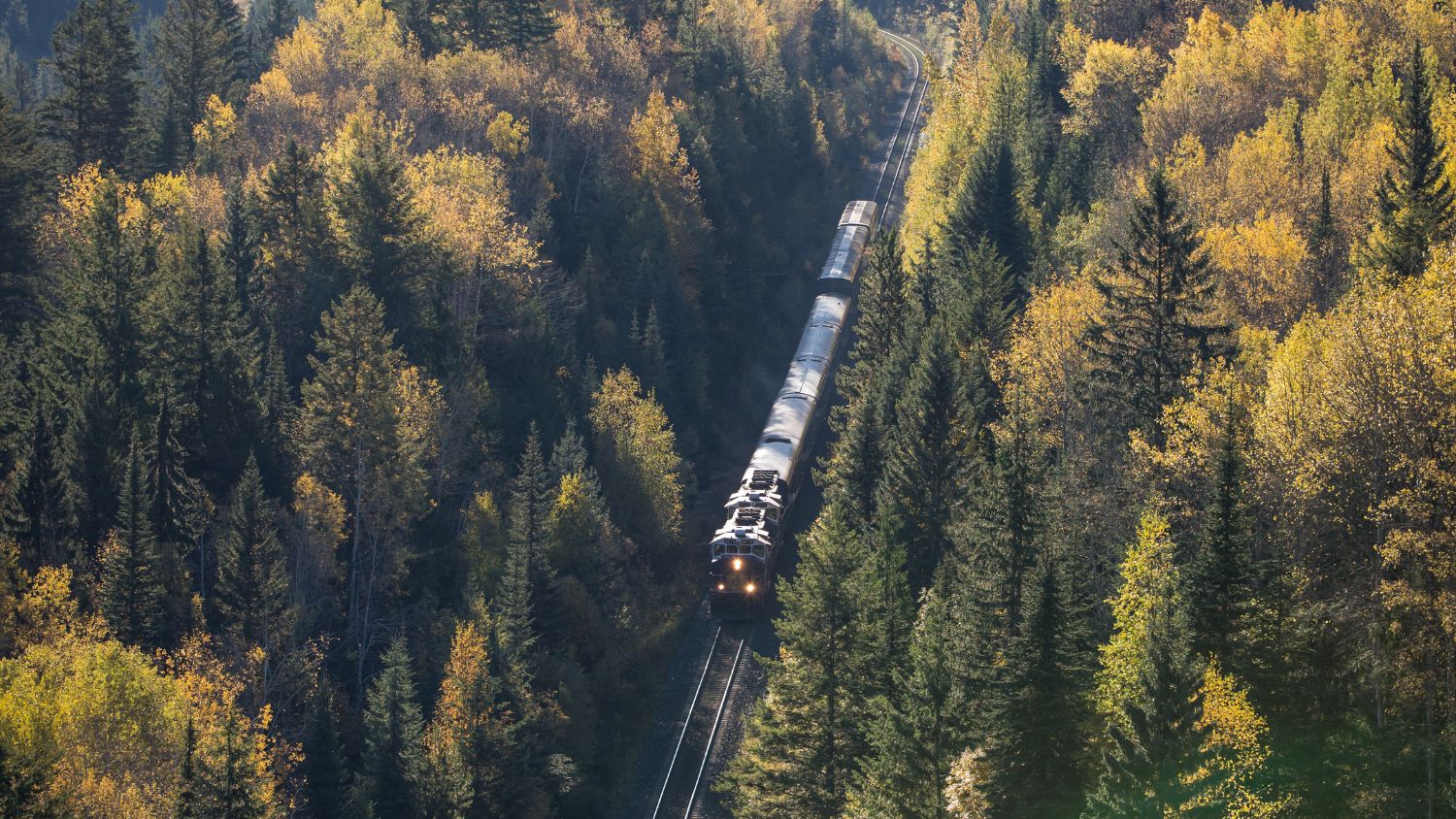 The Rocky Mountaineer on its Journey Through the Clouds route. Photo: Rocky Mountaineer