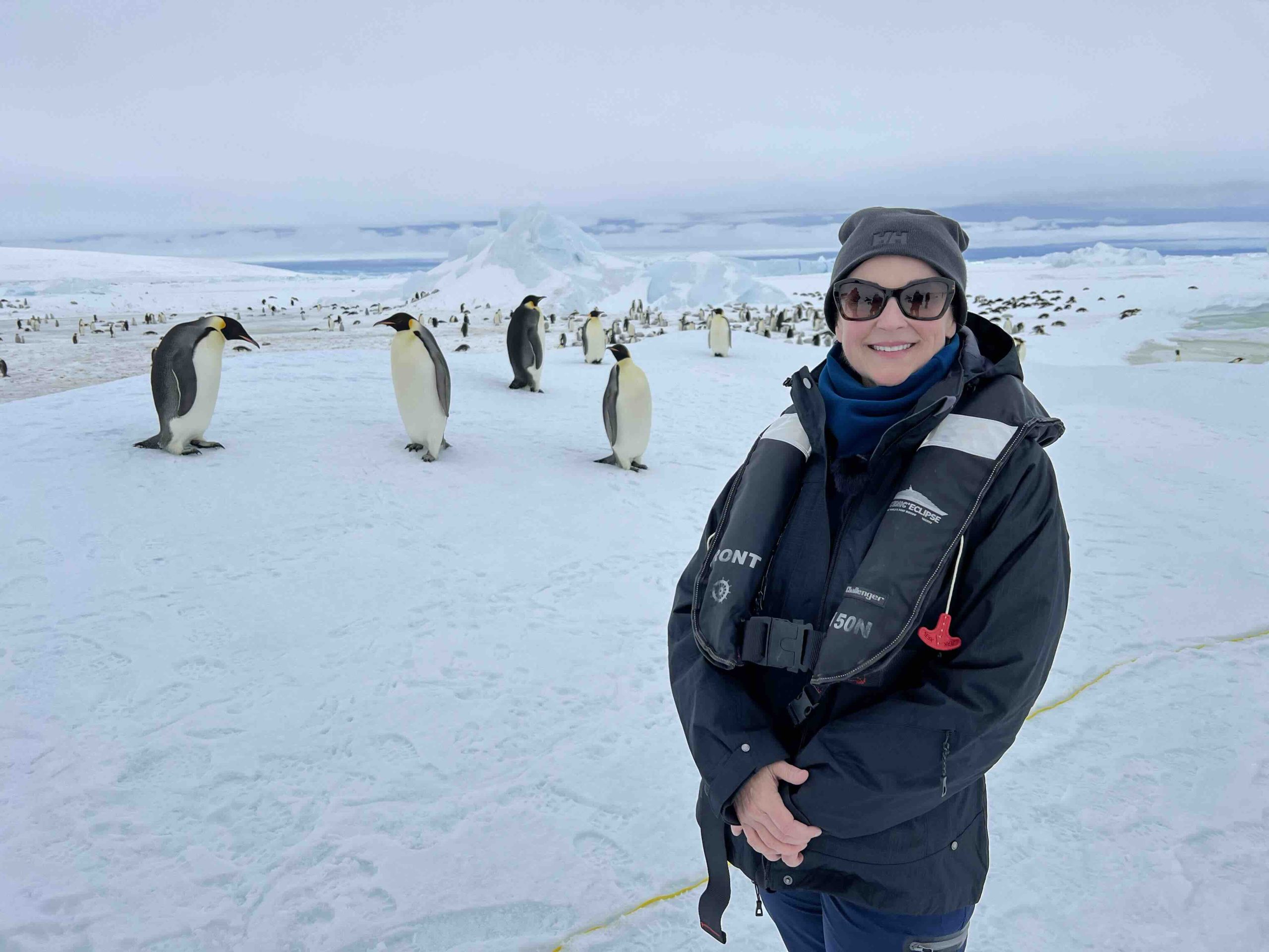 Among the penguins of Antarctica, every moment feels extraordinary — from a distance, these curious birds observe as the journey unfolds.
