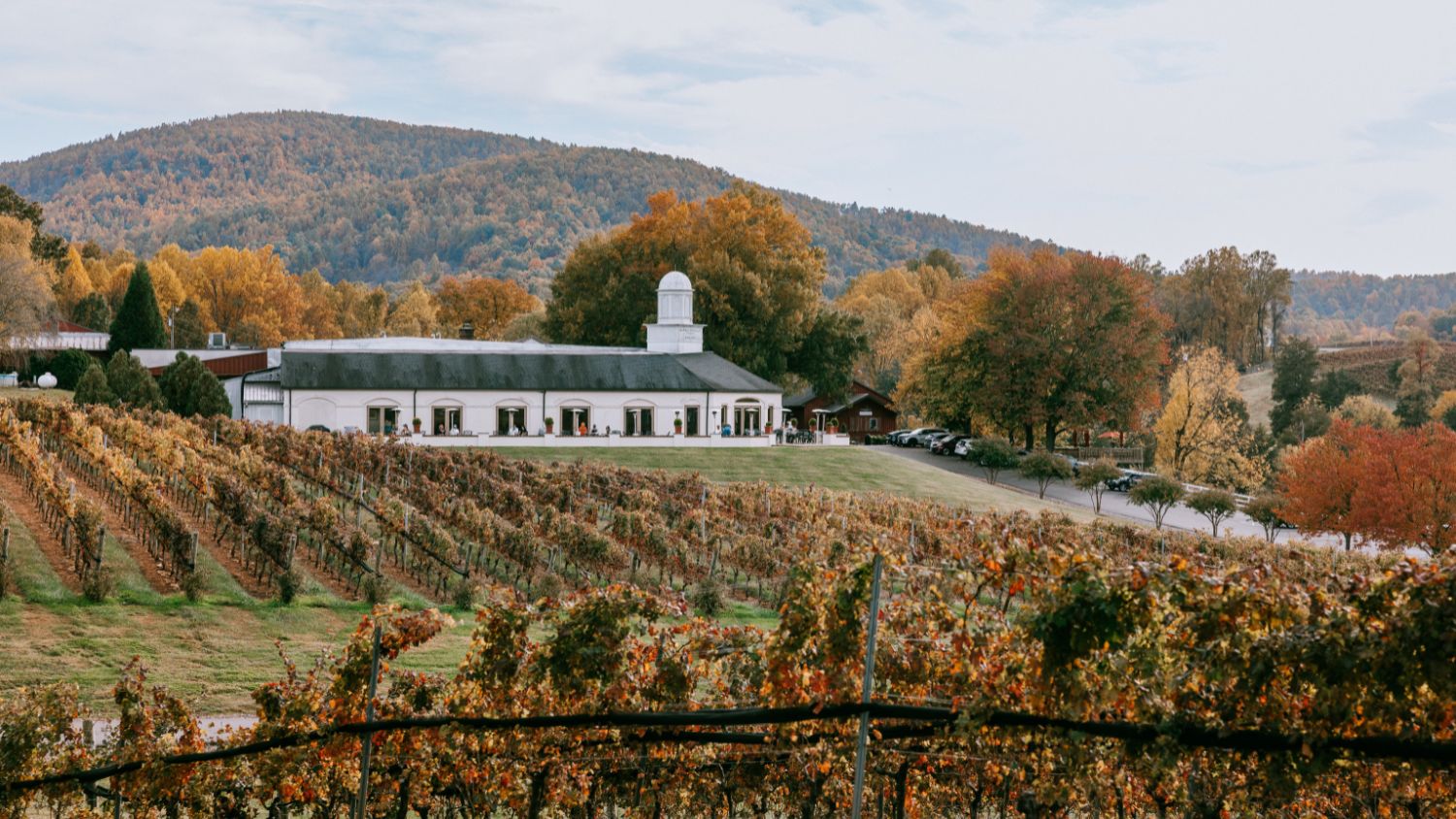 King Family Vineyards, at the foothills of the Blue Ridge Mountains