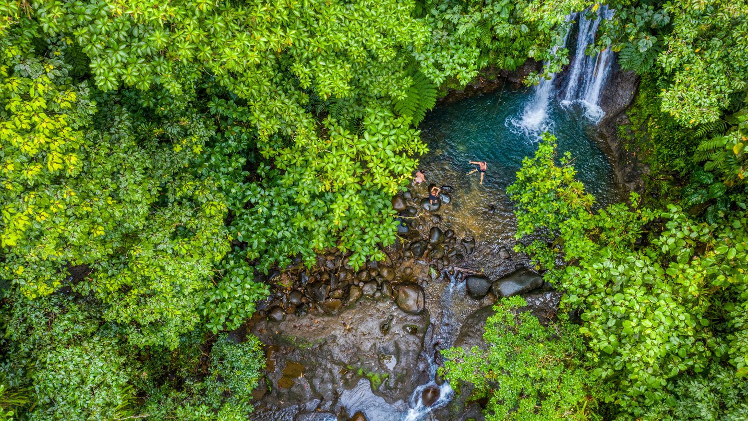 Nestled in Guadeloupe National Park along the Route de la Traversée, Cascade aux Écrevisses is a popular spot with families, hikers and nature lovers, featuring a crystal-clear pool and lush surroundings.