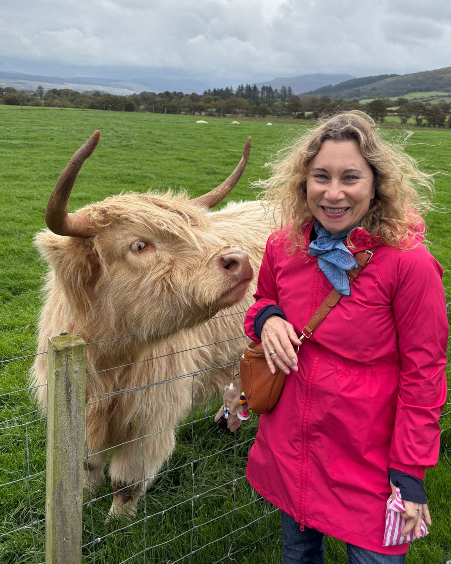 Bellevue Farm in Blackwaterfoot